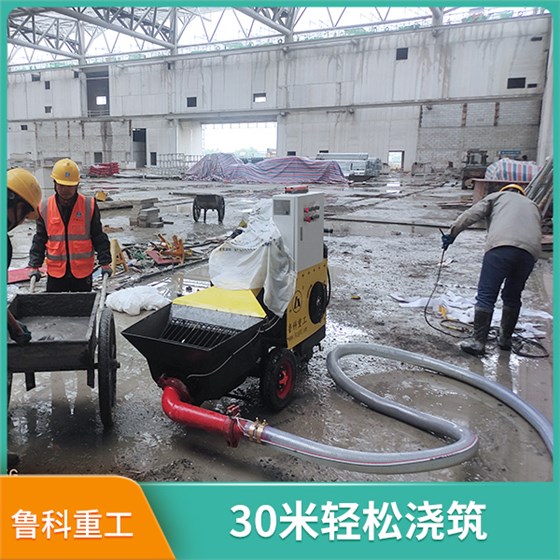 新型二次結(jié)構(gòu)細(xì)石泵 新型二次結(jié)構(gòu)細(xì)石泵